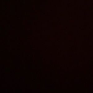 Meet your Posher, Audrey